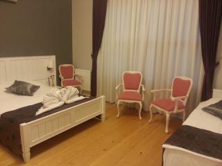 Cenar Konak Butik Hotel - 2