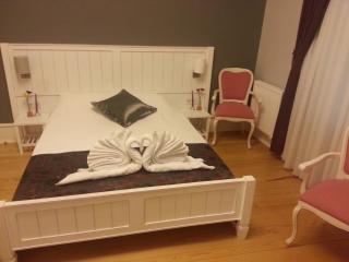 Cenar Konak Butik Hotel - 1