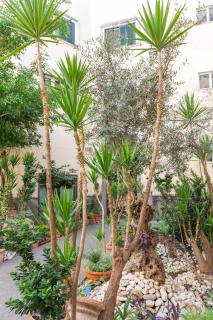 May Flower Luxury - 7