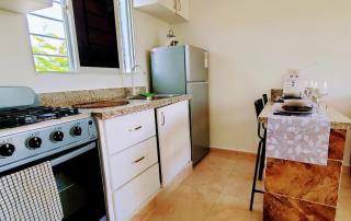Dominican Dream Apartments - Punta Cana - 6