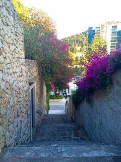 Villa Karolina - Dubrovnik - 3
