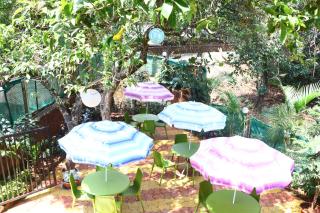 Neuaura Stays - Mahabaleshwar - 0