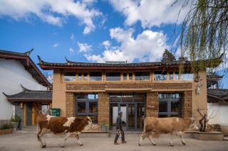 Viewing Mount with Jun - Lijiang - 4