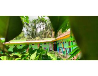 Blackberry Eco Resort, Bagda, Odisha - Chandipur - 5