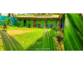 Blackberry Eco Resort, Bagda, Odisha - Chandipur - 2