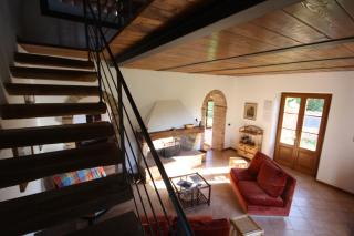 Azienda Agricola Fornaci di Sotto - Castelnuovo Berardenga - 4
