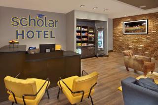 Scholar Morgantown, Tapestry Collection by Hilton - Morgantown - 8