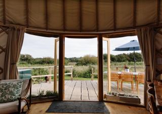 Tree Field Yurt at Moor Farm - Godshill - 3