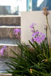 Modern Sea-view 3-bedroom apartment w private pool - 5