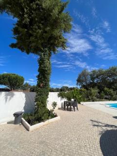 Casa do Cedro no Campo - 6