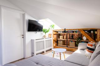 Arena View Premium Loft - 1