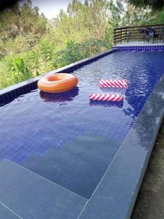 villa 33 - Kasauli - 7