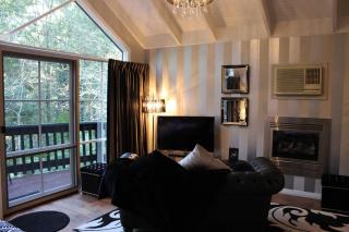 Belle Le Vie - Sassafras - 4