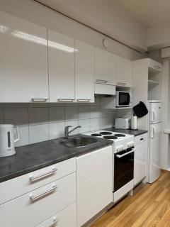Lapinmaa Apartments - Rovaniemi - 1
