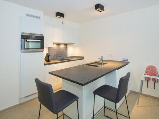 Apartment in Belgium with Sea View Terrace - 9