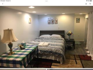 Gateway en-suite bedroom only one bed next jhu - Baltimore - 0