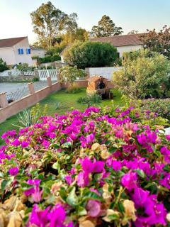 HAUT VILLA MESANGES EN BORD DE MER ! - Lucciana - 4