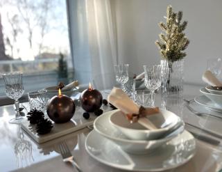 Arctic Luxury Apartment - 3
