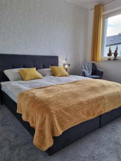 Domek pod świerkami -Apartament świerkowy IV - Kudowa-Zdrój - 8