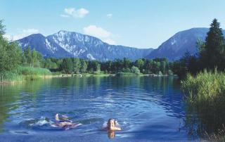 Gasthof Plasch - Ferlach - 7