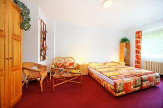 Hotel Fit Fun - Harrachov - 7