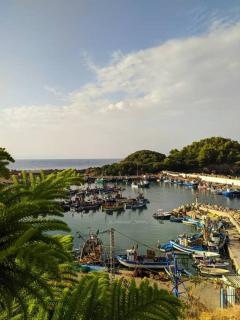 AFTIS 01 - Jijel - 1