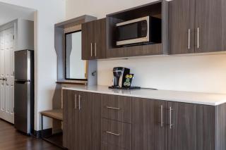Holiday Inn - Tampa North by IHG - Tampa - 1