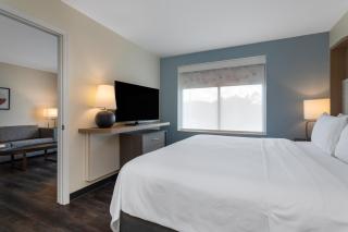 Holiday Inn - Tampa North by IHG - Tampa - 2