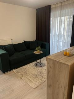 Coresi Business Apartment Brasov - Braşov - 7