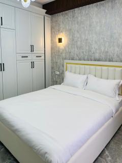 KERUEN SARAY APARTMENTS 20/2 - Türkistan - 9