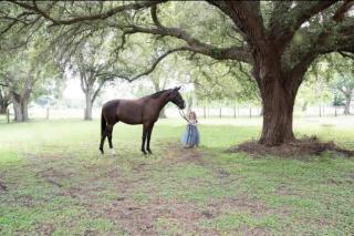 Rustic Oak Acres *Wedding or Content Worthy!* - Fort Myers - 0