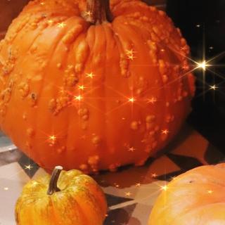 La Taverne des sorciers de Perigueux - 4