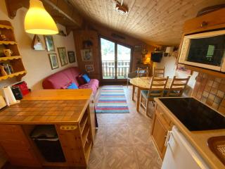 Châtel : Appart à 200m des remontées, balcon, parking, 4 pers. - FR-1-693-11 - 0
