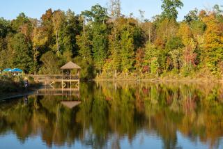 Juneberry Ridge - Norwood - 1
