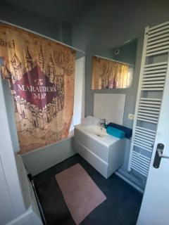 Appartement hyper centre Reims Le gîte du sorcier - Reims - 5