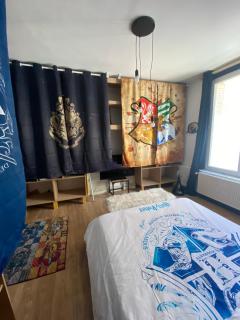 Appartement hyper centre Reims Le gîte du sorcier - Reims - 2