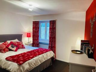 Stunning Luxury apartment in Central Klosters - Klosters-Serneus - 1