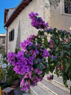 Adelaide al Borgo. - Castelnuovo di Porto - 4