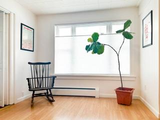 Whimsical apartment near downtown Winooski - 1