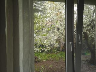 Apartament Parterowy - Poznań - 1