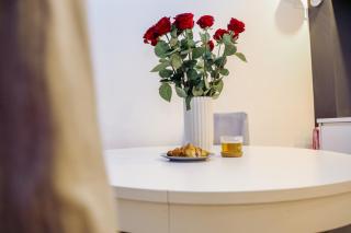 White Apartment in center of Katowice - Katowice - 4