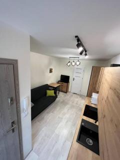 Mazowiecka 29 Apartment B self check-in - Bydgoszcz - 8