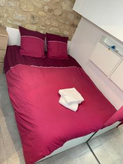 NEW Private apartment Paris city center - Les Arènes Pantheon Notre-Dame Jussieu Jardin des Plantes Quai de Seine - París - 8