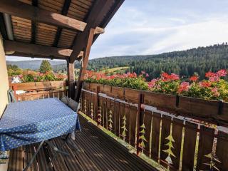 Appartement Confortable avec Accès Facile, Proche Ski et Randonnée - FR-1-589-137 - Ban-sur-Meurthe-Clefcy - 3