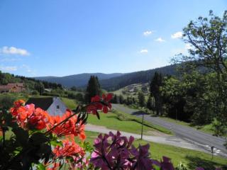 Appartement Confortable avec Accès Facile, Proche Ski et Randonnée - FR-1-589-137 - 5