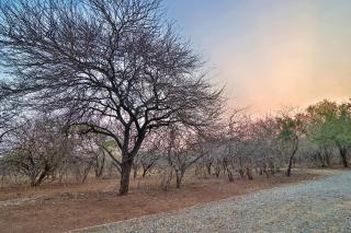 Lion Den - Marloth Park - 6