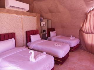 جولات جيب وادي رم - Wadi Rum - 2