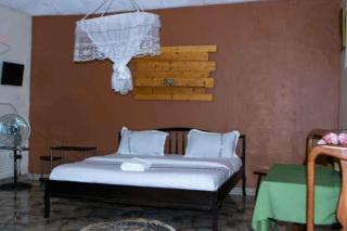 Alice Gardens and Campsite - Entebbe - 5