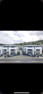Waterfront 209 - Paihia - 7