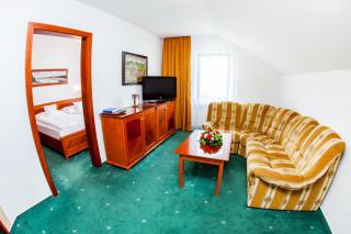 Hotel Patria - Štrbské Pleso - 7